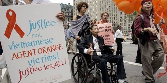 Victims of Agent Orange marched to a court in New York in June 2007